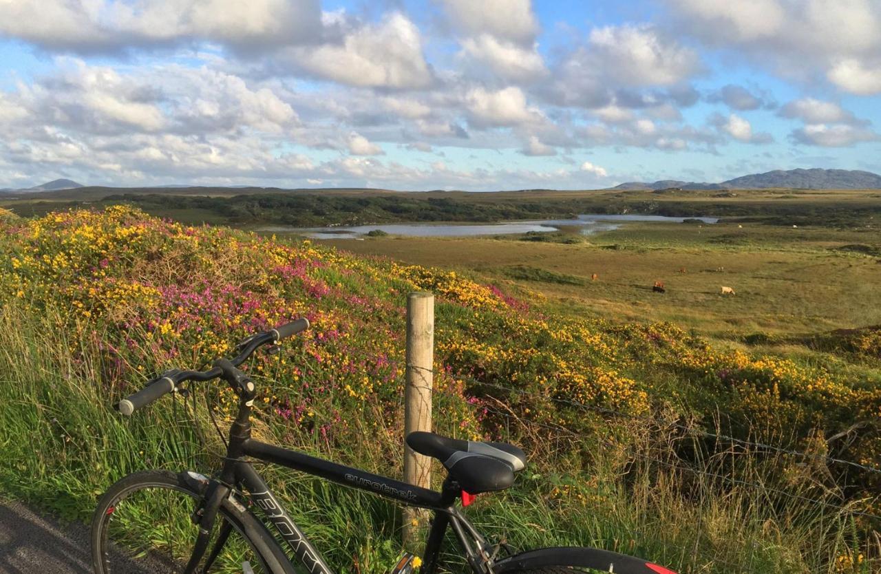 Cabin 438 - Clifden Kültér fotó